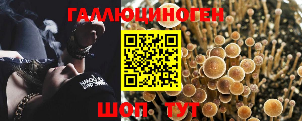 Псилоцибиновые грибы Magic Shrooms  Вход с VPN  Галлюциногенные грибы GOLDEN TEACHER  Химки 