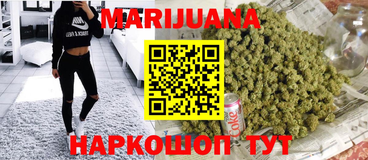 Конопля сатива Химки